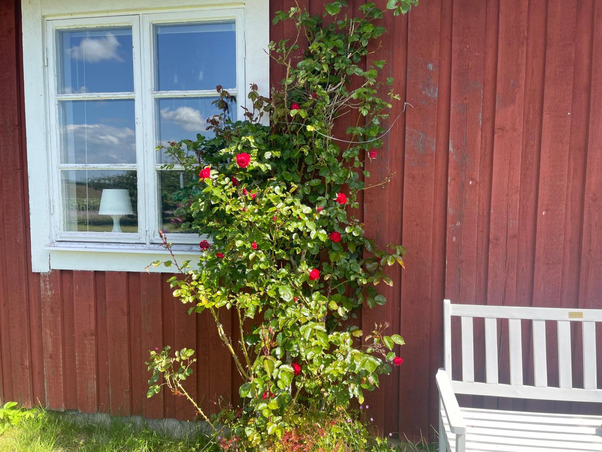 Kapelludden Oestra Oeland Köpingsvik Exterior foto